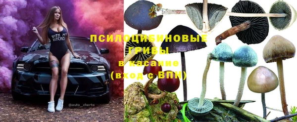 ПСИЛОЦИБИНОВЫЕ ГРИБЫ Верхнеуральск