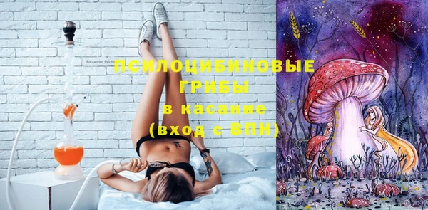 ПСИЛОЦИБИНОВЫЕ ГРИБЫ Верхнеуральск