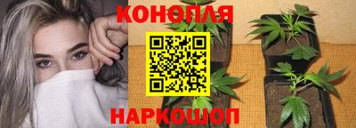 круглые Гай