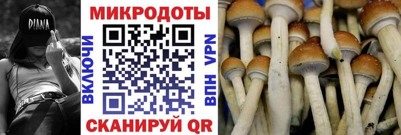 Псилоцибиновые грибы MAGIC MUSHROOMS  блэк спрут ТОР  Еманжелинск 