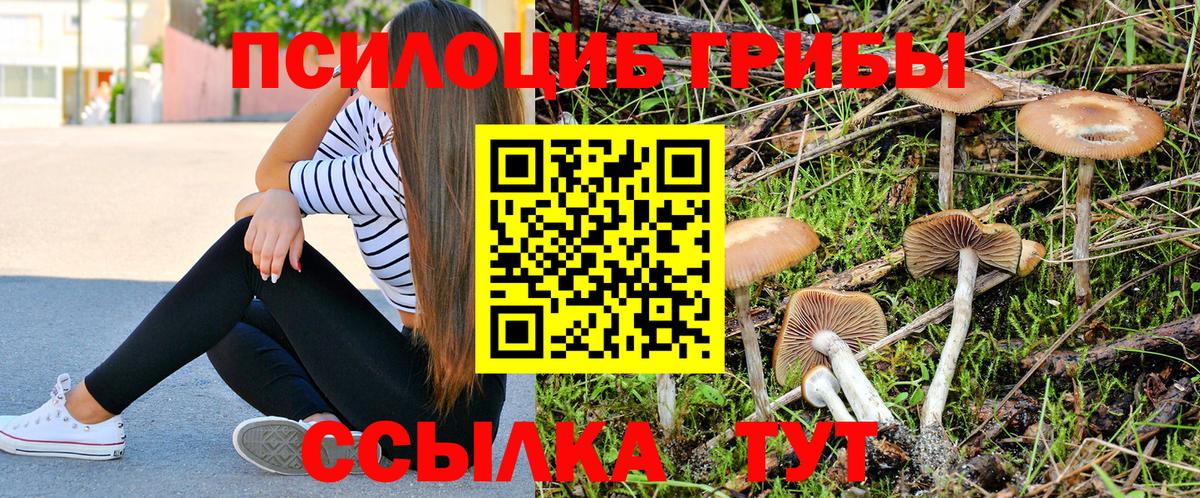 Псилоцибиновые грибы прущие грибы  Еманжелинск 