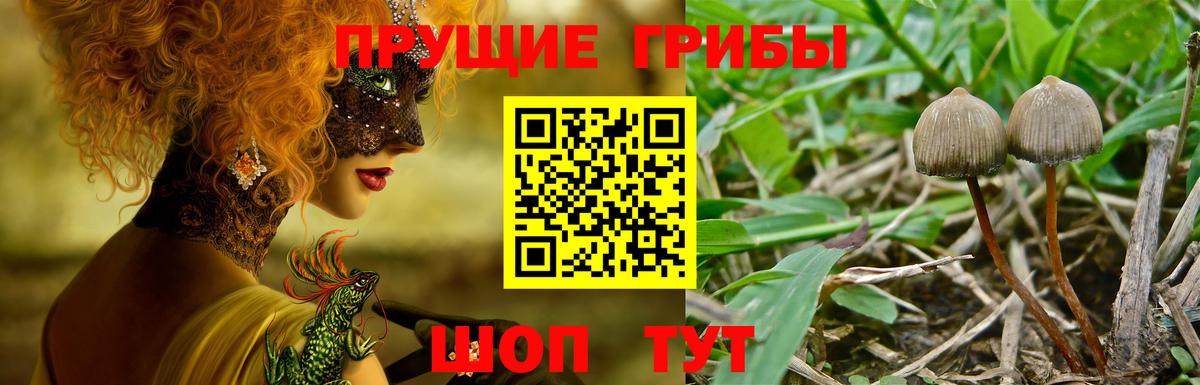 Галлюциногенные грибы Magic Shrooms Еманжелинск
