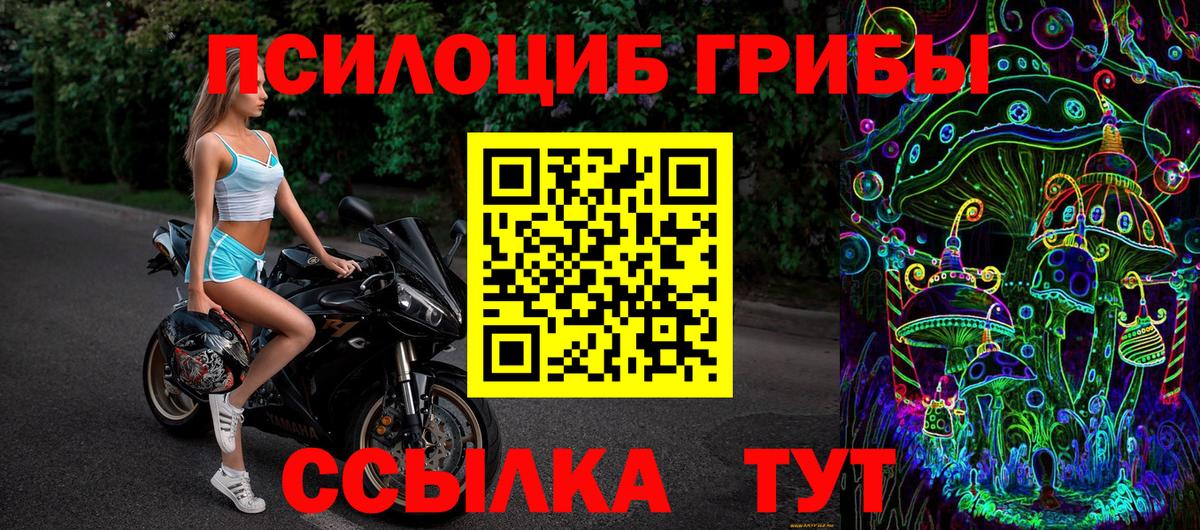 Еманжелинск  Псилоцибиновые грибы Psilocybe  Вход с VPN  Галлюциногенные грибы GOLDEN TEACHER 